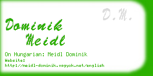 dominik meidl business card